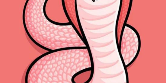 Imagem do grupo de WhatsApp Projeto engajatriz🐍