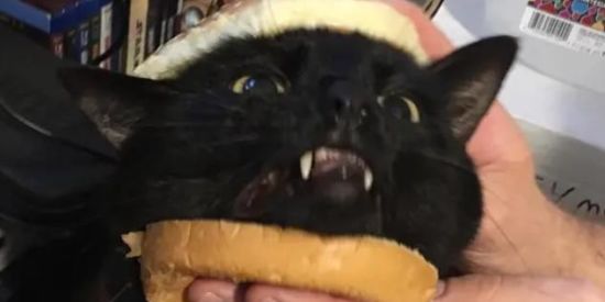 Imagem do grupo de WhatsApp Lós bandoleiros