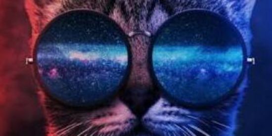 Imagem do grupo de WhatsApp STICKER Exchange🔝