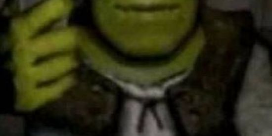 Imagem do grupo de WhatsApp 🐵Stickers🐵