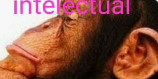 Imagem do grupo de WhatsApp Eu vim vê o Pedro😨