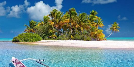 Imagem do grupo de WhatsApp Carpe diem