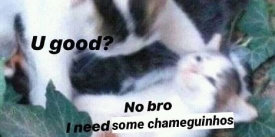 Imagem do grupo de WhatsApp Perigo! Não entre ✋🏽👀😅