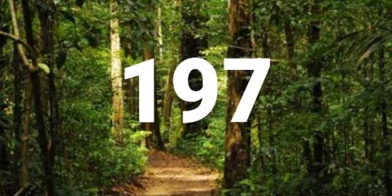 Imagem do grupo de WhatsApp Oportunidade Negócio 197