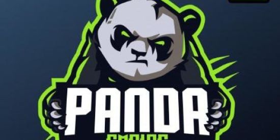 Imagem do grupo de WhatsApp RECRUTAMENTO PANDA🐼|EP’S