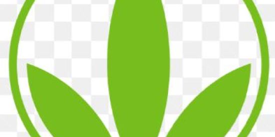 Imagem do grupo de WhatsApp Emagrecer com saúde💚