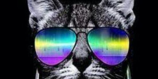 Imagem do grupo de WhatsApp THE STICKER