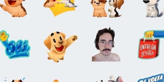 Imagem do grupo de WhatsApp Colecionador de figurinha