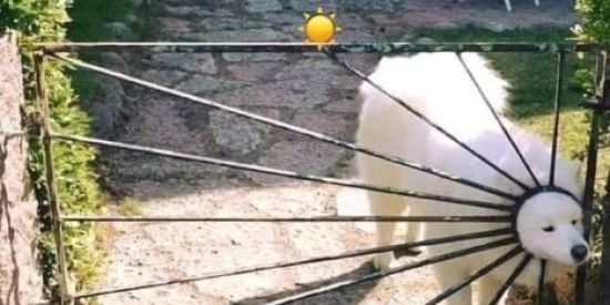 Imagem do grupo de WhatsApp Vamos conversar?🍃