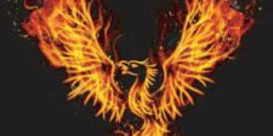 Imagem do grupo de WhatsApp 🥵Reino das travas🥵