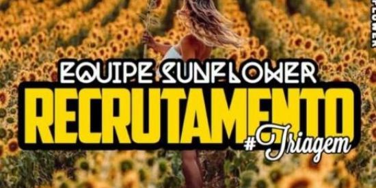 Imagem do grupo de WhatsApp 🐍RECRUTAMENTO  TIS🐍