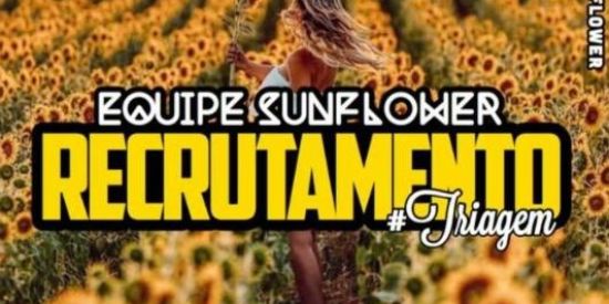 Imagem do grupo de WhatsApp 🐍RECRUTAMENTO TIS🐍