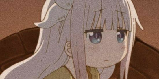 Imagem do grupo de WhatsApp S H I T P O S T E R's