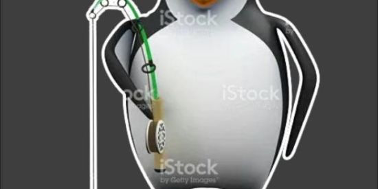 Imagem do grupo de WhatsApp Grupo dos danado de bonit