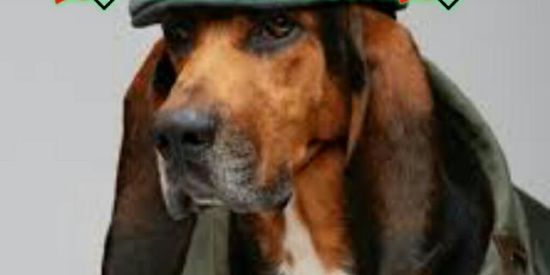 Imagem do grupo de WhatsApp RECRUTAMENTO PARA B.T.Z