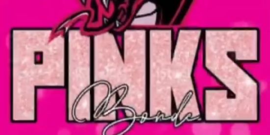 Imagem do grupo de WhatsApp SEGUIDORES