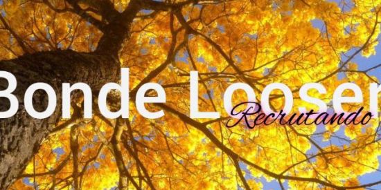 Imagem do grupo de WhatsApp 🧚🏻‍♀️RECRUTAMENTO LOOSER 🧚🏻‍♀️