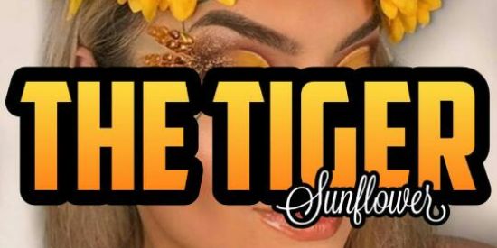 Imagem do grupo de WhatsApp 11♜︎︎︎ᴛɢ'ʀ♜|🌻✨sυทƒlσωєr✨🌻