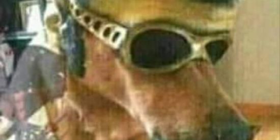 Imagem do grupo de WhatsApp CHAT FENIX 🐦🔥