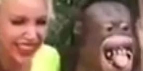 Imagem do grupo de WhatsApp dxa em off