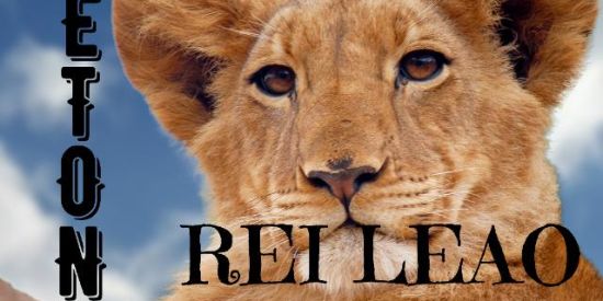 Imagem do grupo de WhatsApp 🦁Rei leao🦁『ᴅᴛ'ɴ』