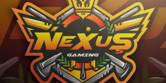 Imagem do grupo de WhatsApp Recrutamento NEXUSG GAMING🏄🏼‍♂️