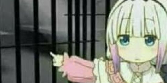 Imagem do grupo de WhatsApp Totalmente aleatório e só