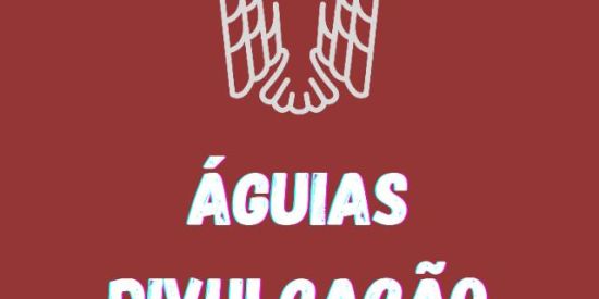 Imagem do grupo de WhatsApp ÁGUIAS DIVULGAÇÃO 🦅