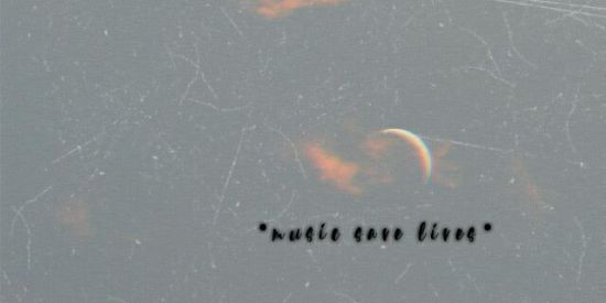 Imagem do grupo de WhatsApp •music lovers•