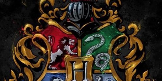 Imagem do grupo de WhatsApp Hogwarts🧙‍♂️🤍