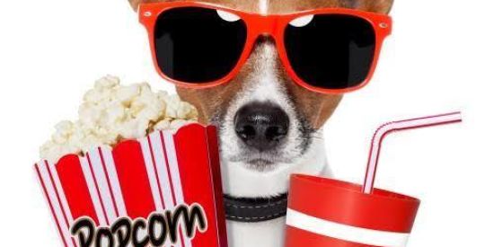 Imagem do grupo de WhatsApp Vídeos engraçados 🙈🙉🙊