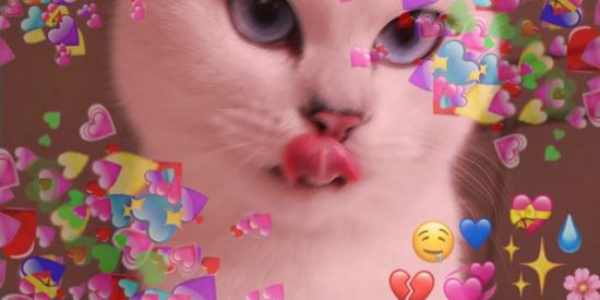 Imagem do grupo de WhatsApp 〄☯тяσpค dσร σтคкuร☯〄