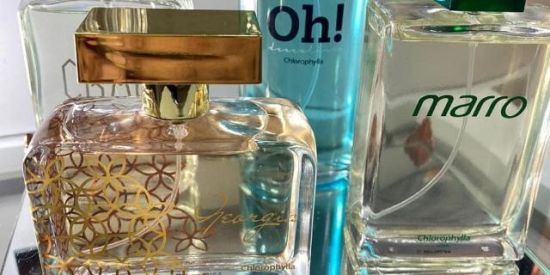 Imagem do grupo de WhatsApp 💯 Mais Chlorophylla