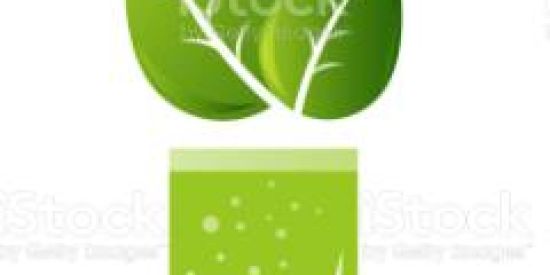 Imagem do grupo de WhatsApp 🍃Gastrite ,Refluxo e Cia