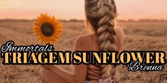 Imagem do grupo de WhatsApp 🌻Triagem Sunflower🌻