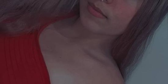 Imagem do grupo de WhatsApp ✨GANHE SEGUIDORES 🐺