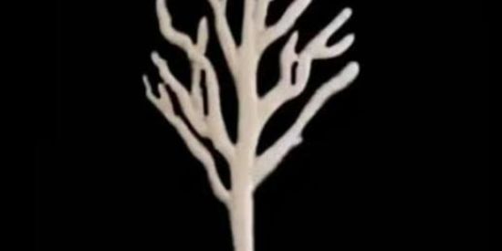 Imagem do grupo de WhatsApp ❤️CAÇADORES DE LENDAS❤️