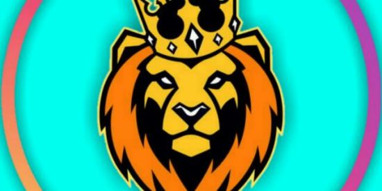 Imagem do grupo de WhatsApp 1🦁Projeto ऽlऽ🦁