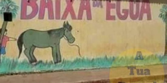 Imagem do grupo de WhatsApp 🍃+_~LA TROLA~♤🧐