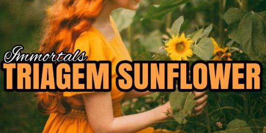 Imagem do grupo de WhatsApp 🌻TRIAGEM SUNFLOWER🌻