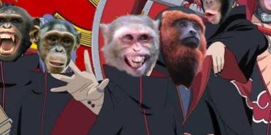 Imagem do grupo de WhatsApp Comunistas 🇦🇴🐦