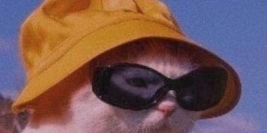 Imagem do grupo de WhatsApp beatbox ruim