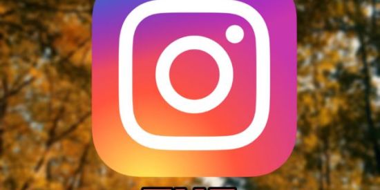 Imagem do grupo de WhatsApp THE IMMORTALS ENGAJAMENTO📱