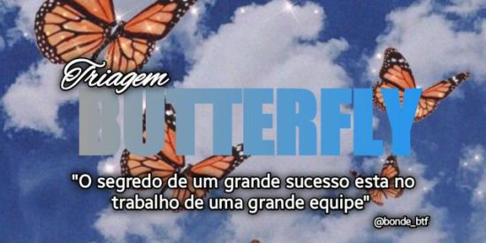 Imagem do grupo de WhatsApp 🦋TRIAGEM BUTTERFLY🦋