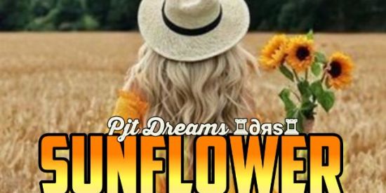 Imagem do grupo de WhatsApp 6♖∂яѕ♖ | 🌻sᴜɴғʟᴏᴡᴇʀ🌻