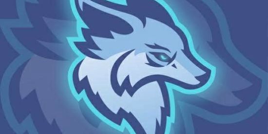 Imagem do grupo de WhatsApp Divulgação 24 horas