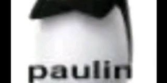 Imagem do grupo de WhatsApp PAULIN BACANA 😎👉