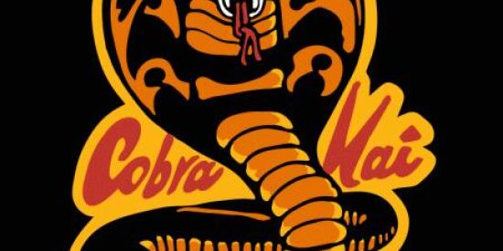 Imagem do grupo de WhatsApp Cobra kai 🐍🥋🖤