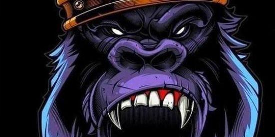 Imagem do grupo de WhatsApp IDM 🦍 OFICIAL © 12/01/2019