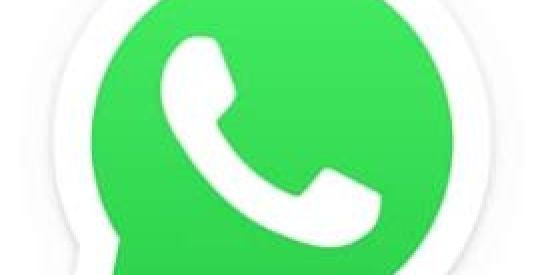 Imagem do grupo de WhatsApp Zoeira sem limites